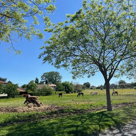Le Spot Piscine Chauffée&fun * Monflanquin