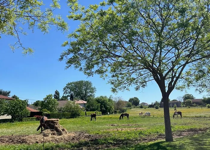 Le Spot Piscine Chauffee & Fun * مونفلاكين